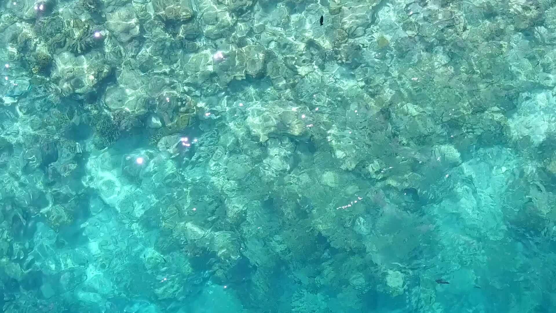 蓝色环礁湖棕榈树附近有一个蓝色的浅滩有白色的沙滩背景视频的预览图