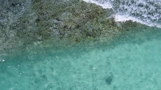海浪拍打海滩附近的棕榈视频的预览图