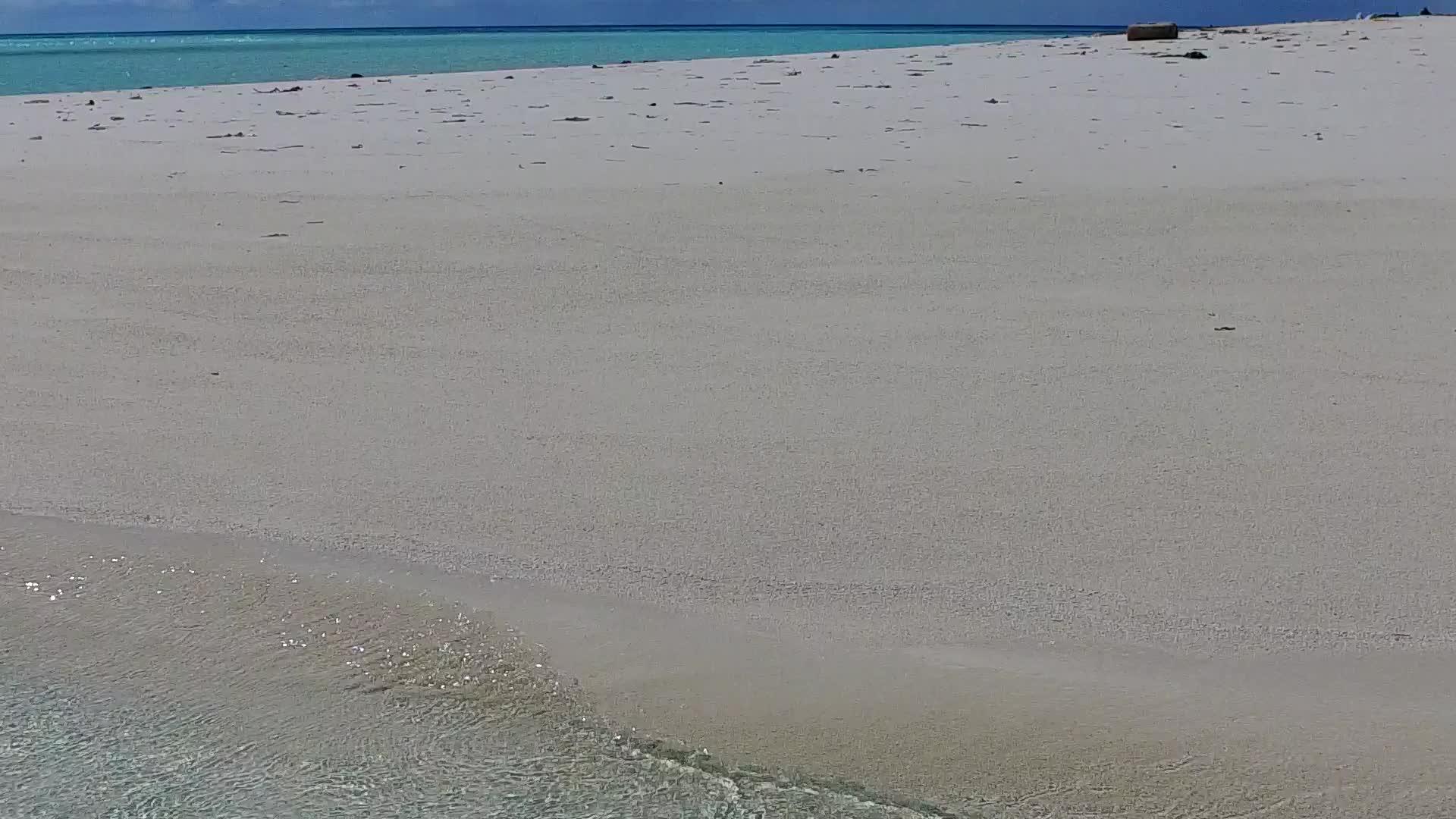 海平面海岸附近有蓝色的水海和白色的棕榈树视频的预览图