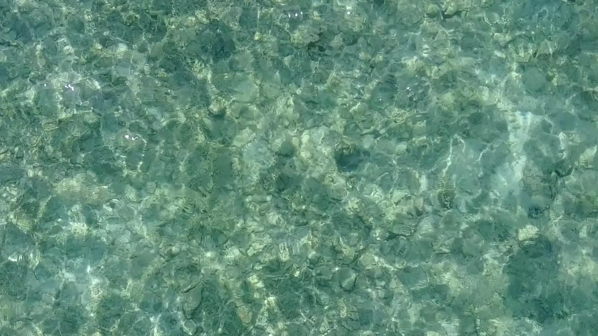热带海滨海滩沿着蓝海旅行海滩附近有白色的沙滩背景视频的预览图