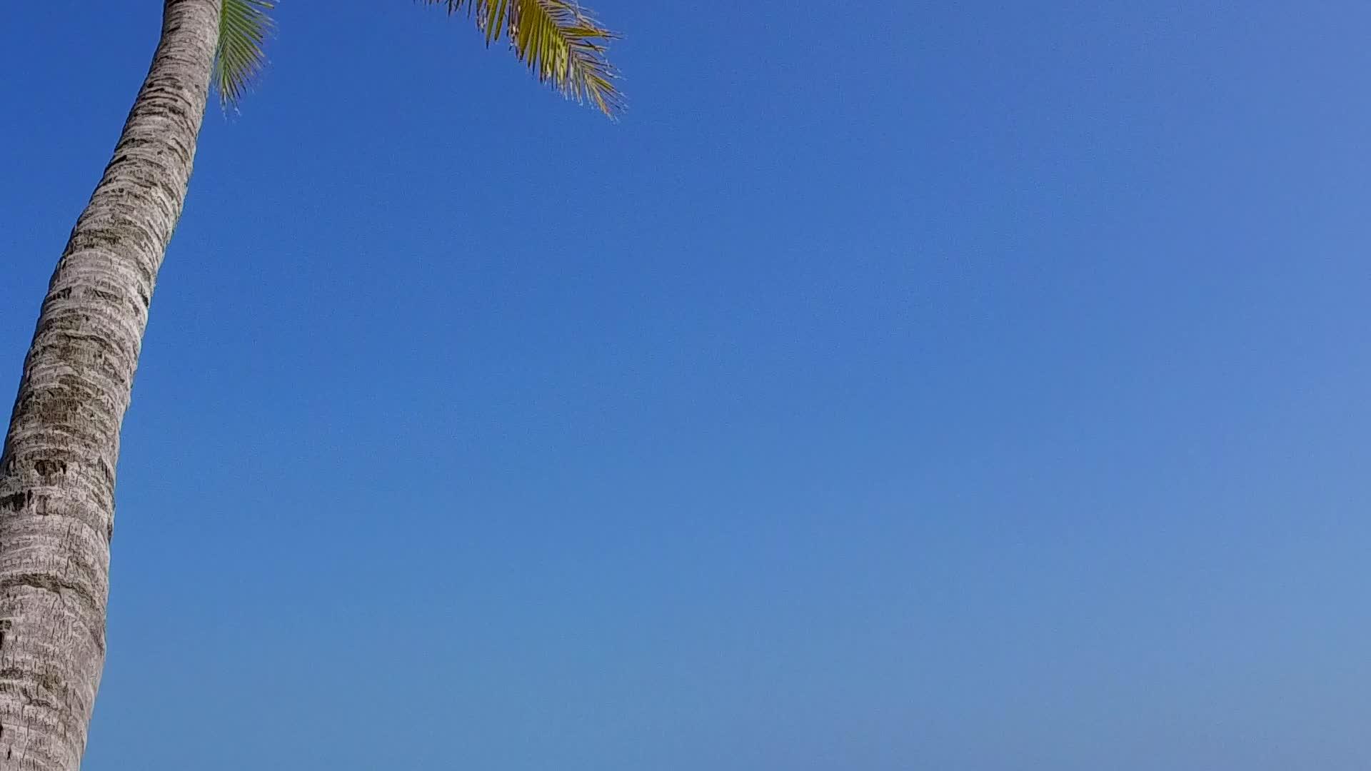 放松环礁湖海滩通过棕榈附近的清水和白沙背景休息视频的预览图