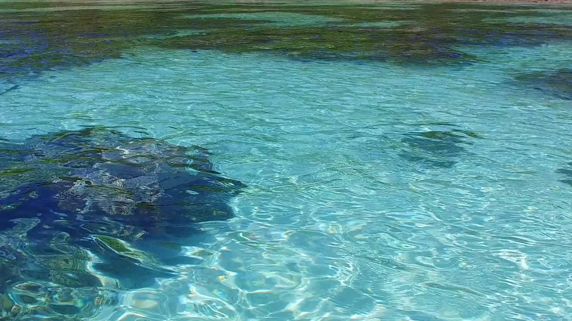 日落前阳光明媚的天堂以蓝水和白沙的背景打破了海岸海滩视频的预览图