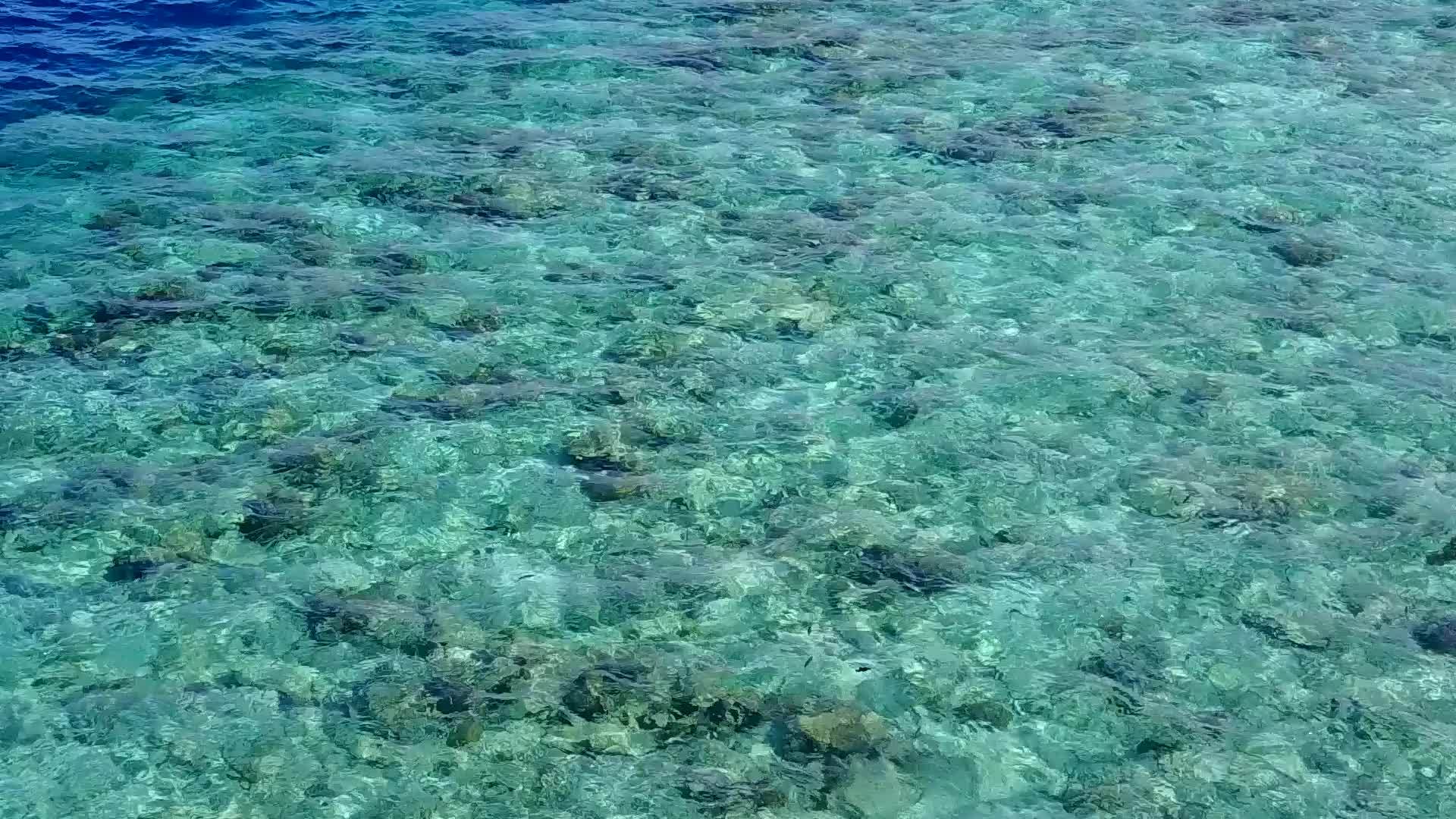 热带海滩假日视频的预览图