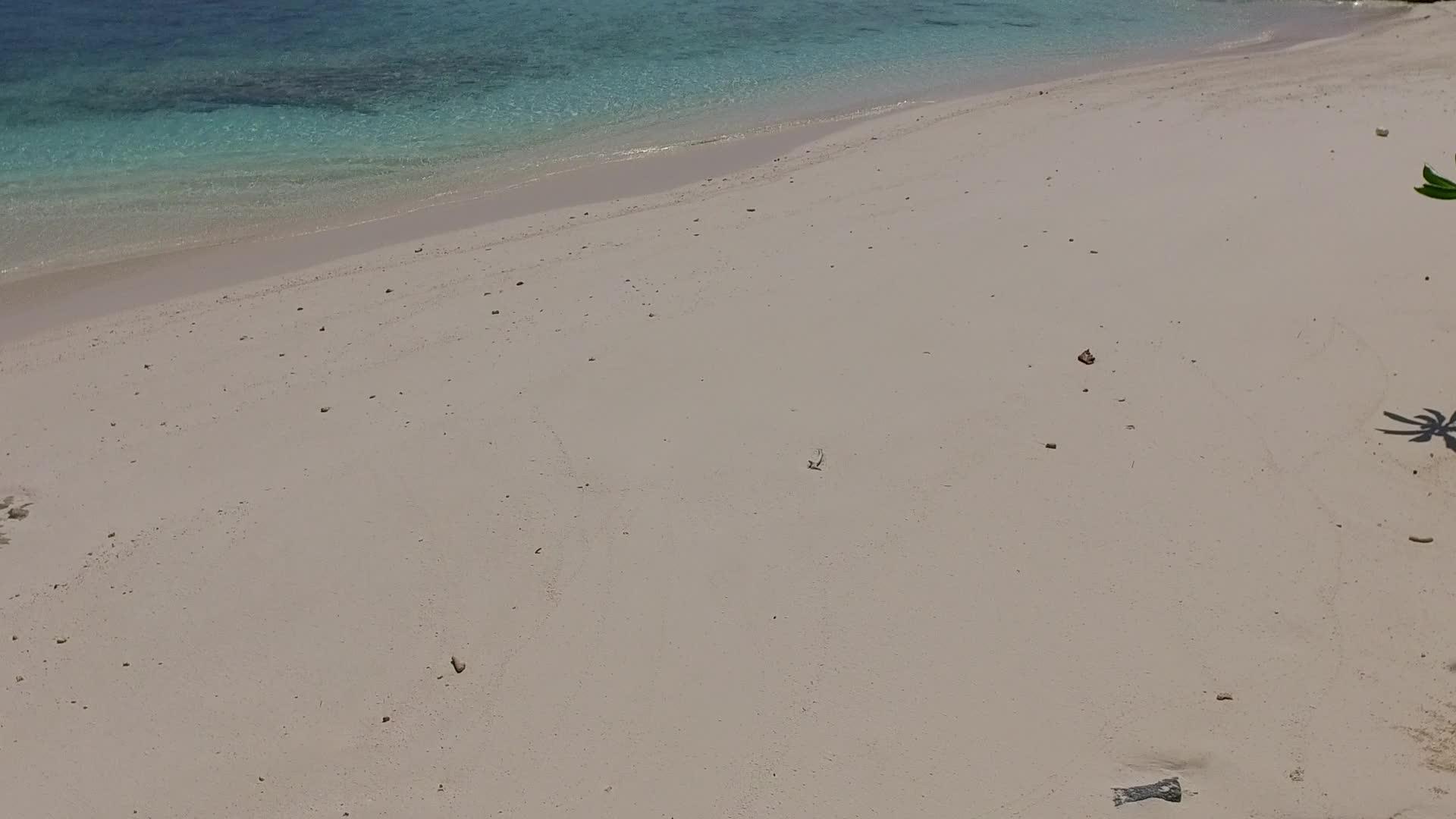 在海滩附近的清水和明亮的沙滩上度过海滩度假视频的预览图
