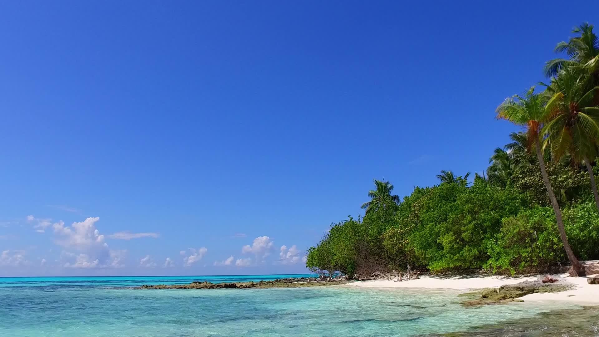 珊瑚礁附近的海滩度假村有明亮的沙滩和蓝色的海洋视频的预览图
