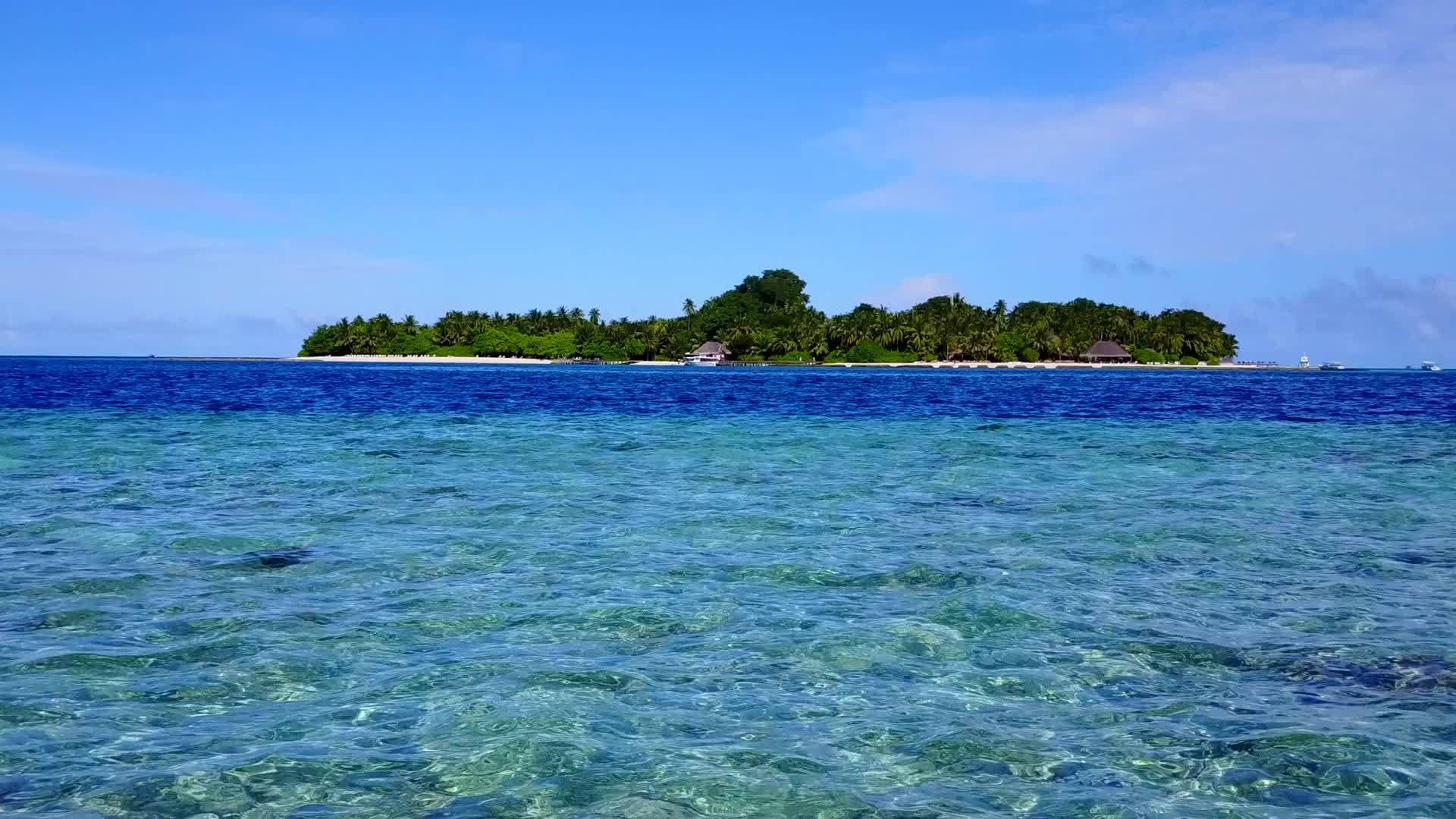 假胜地蓝环礁湖视频的预览图