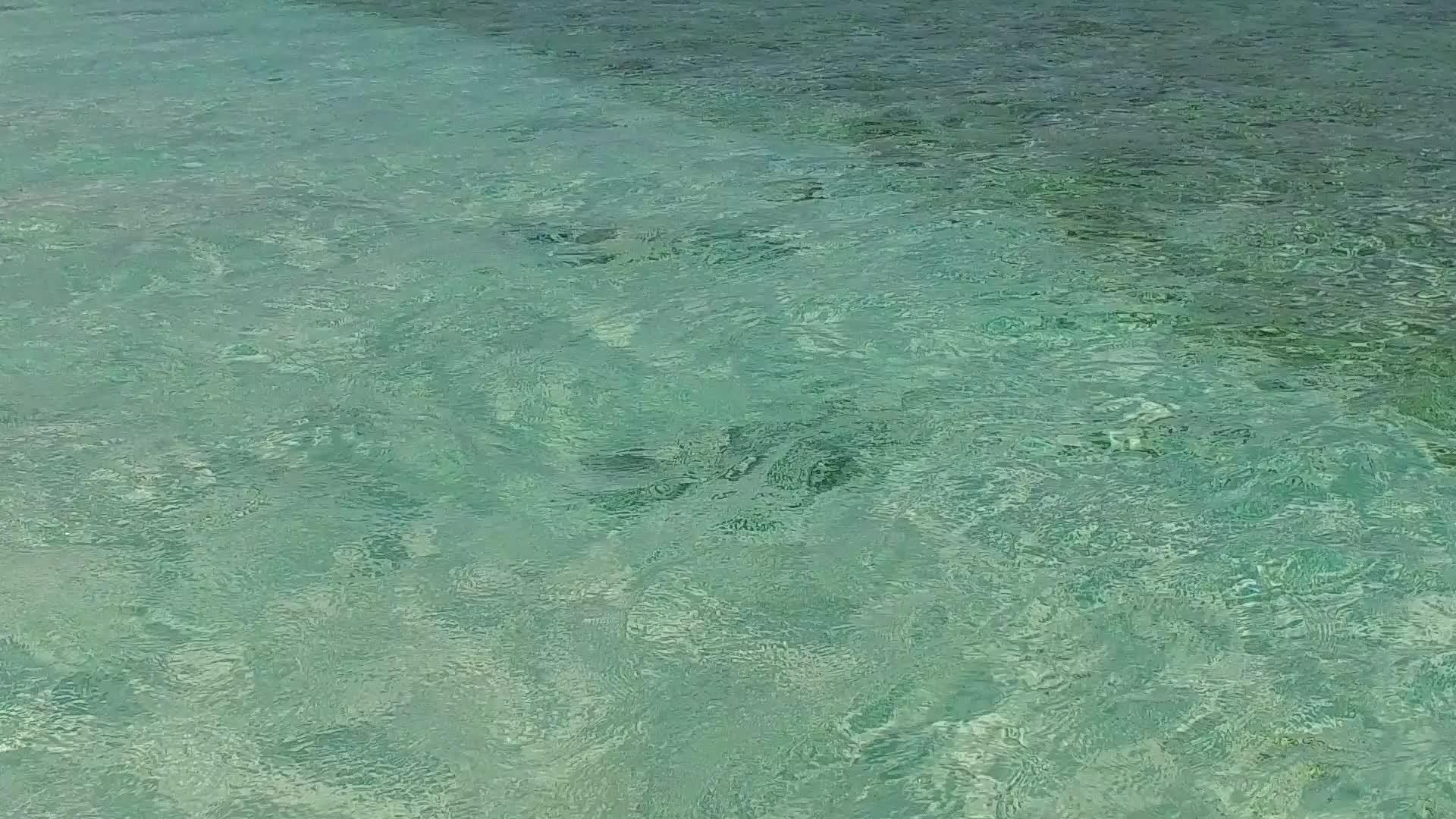 蓝海完美旅游海滩在沙洲附近有明亮的沙滩背景视频的预览图