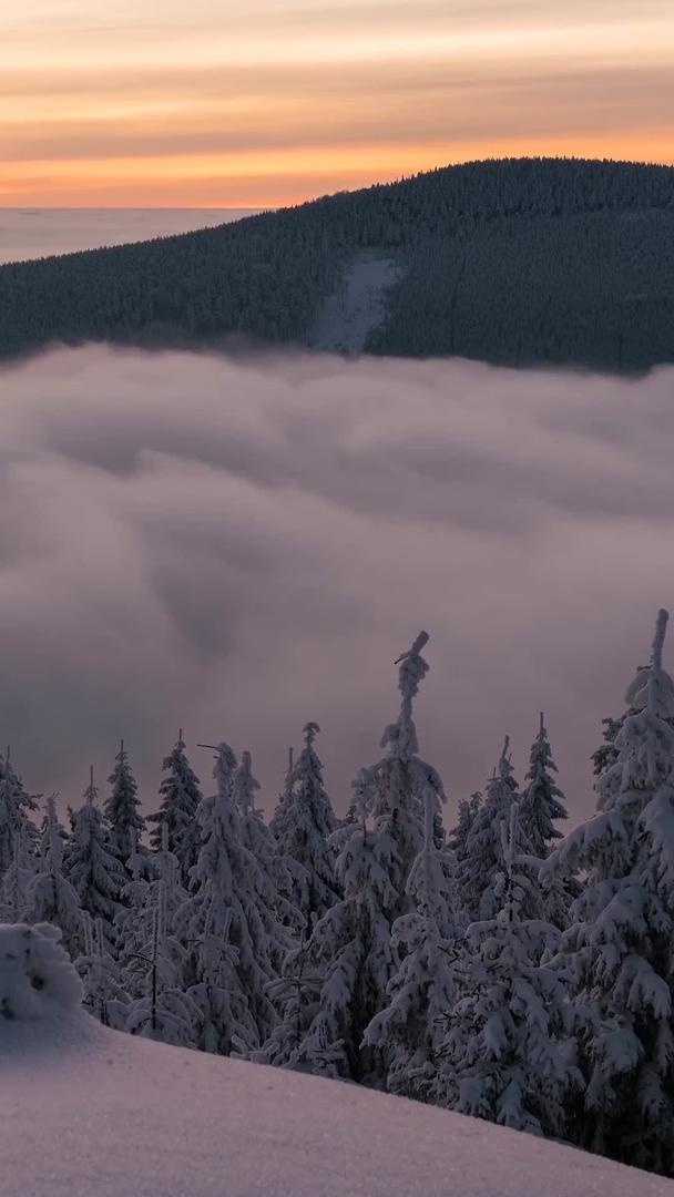 冬季雾松云海森林日出延迟视频的预览图