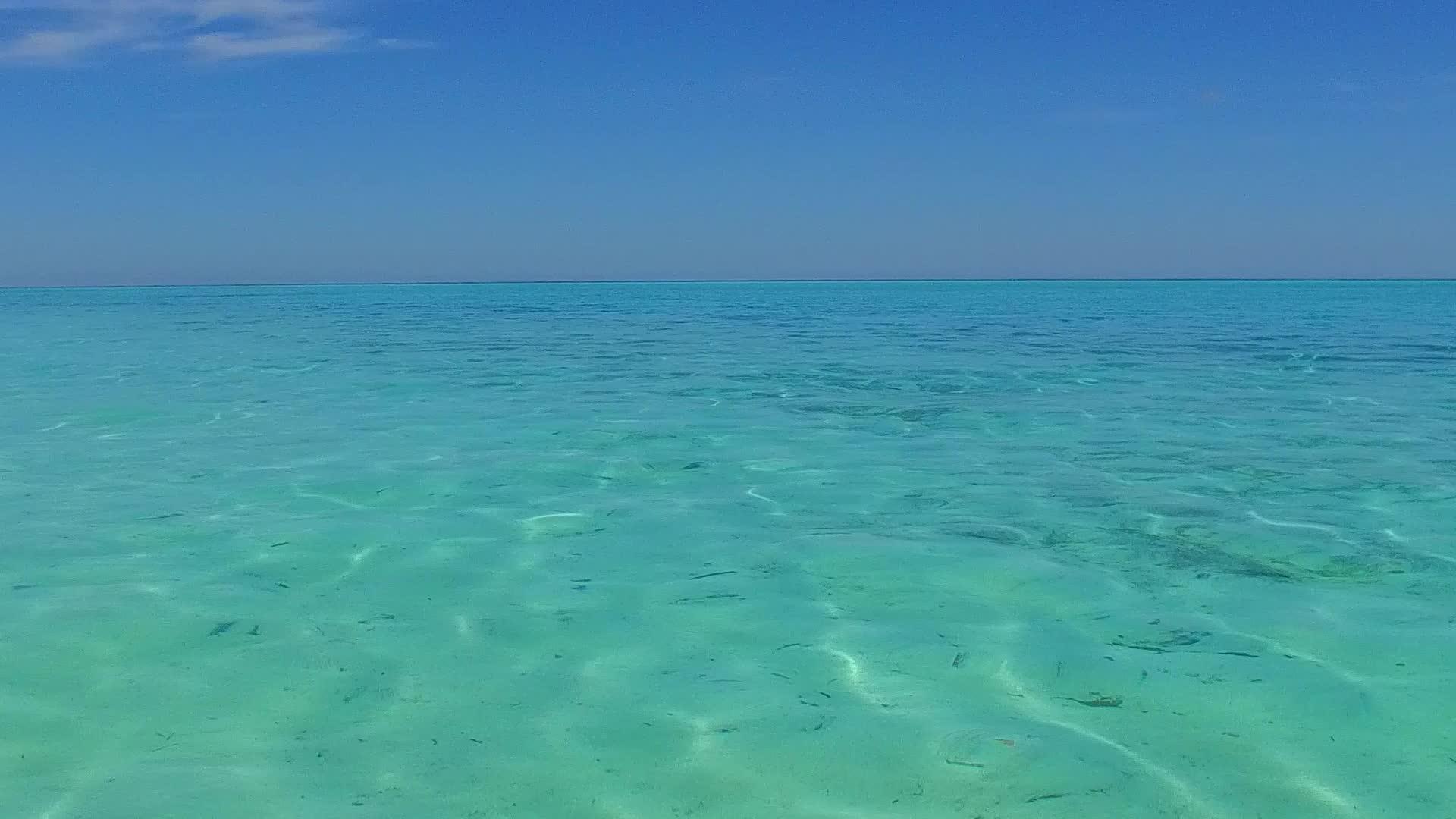 蓝海滩视频的预览图