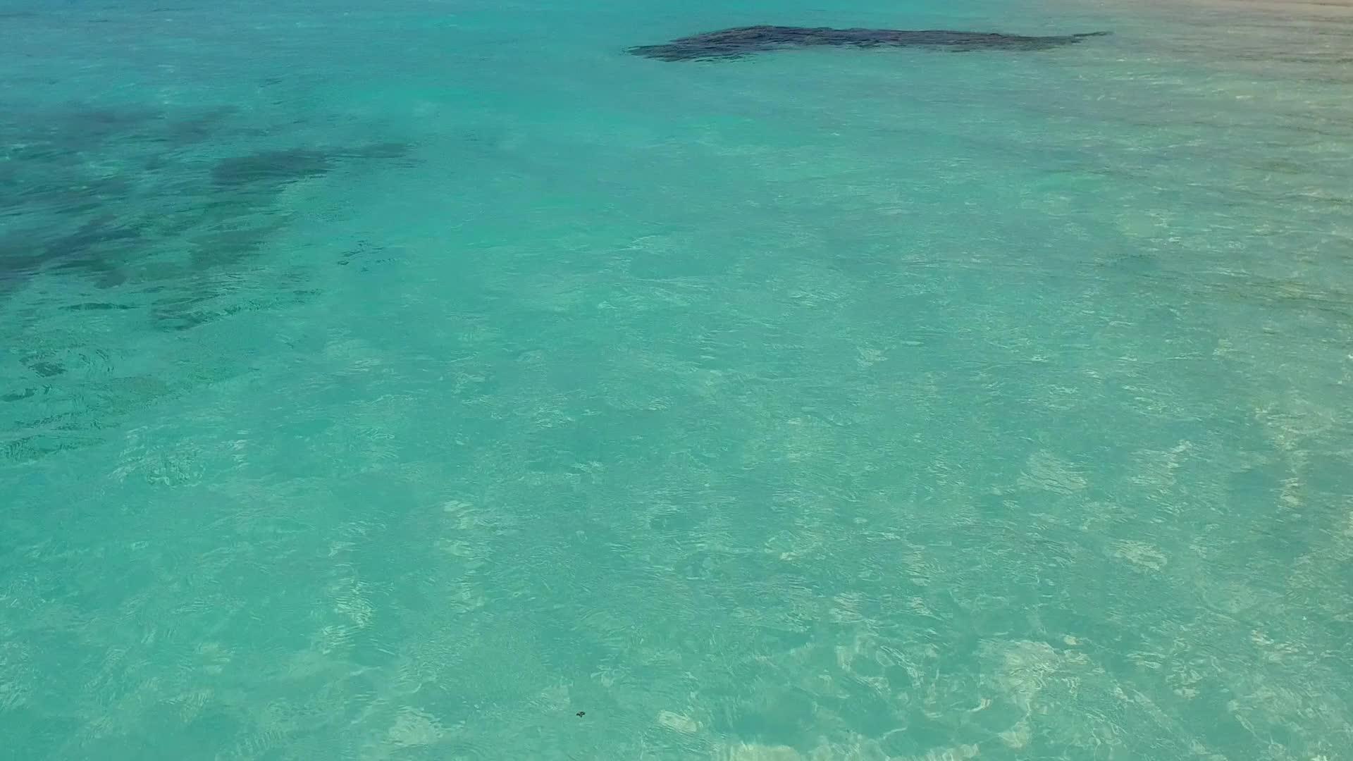沿海海滩上的野生生物松绿环礁湖和棕榈树附近的白沙背景视频的预览图