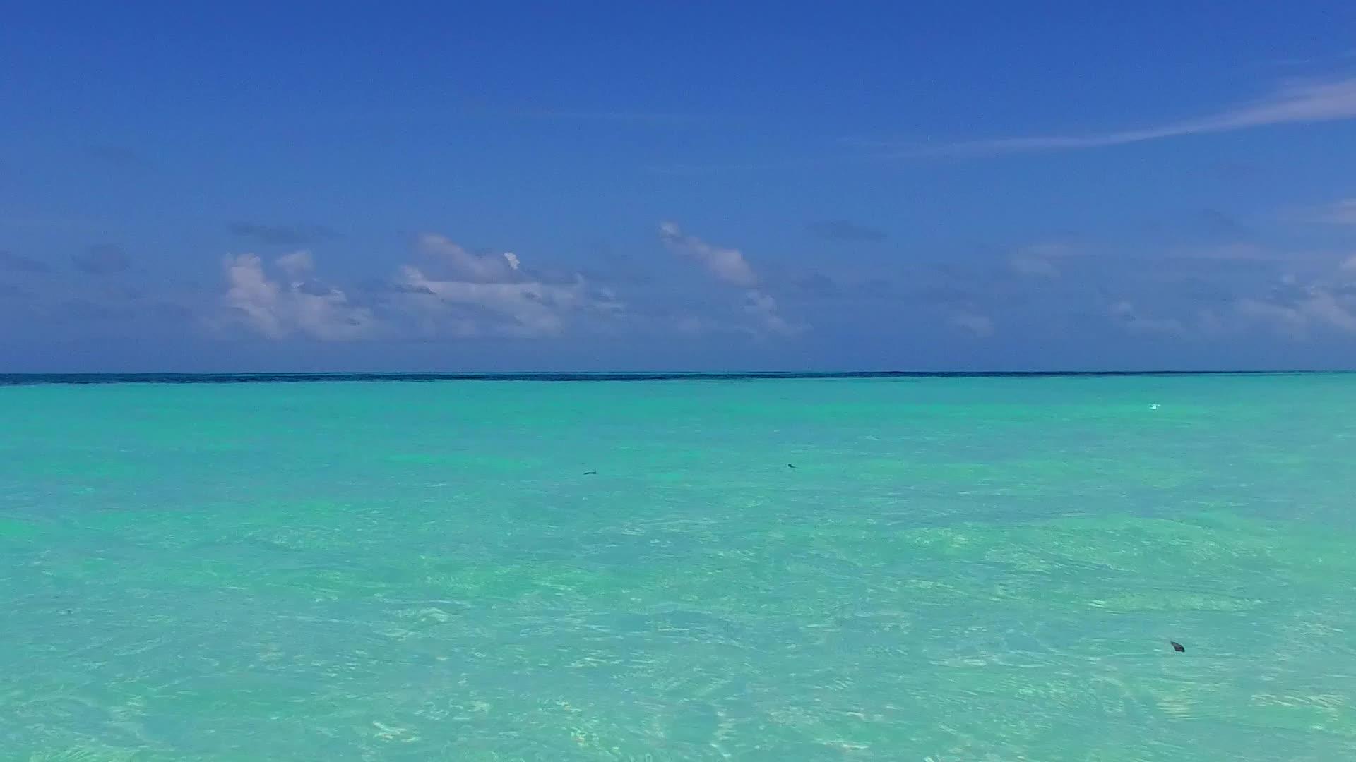 水蓝色的大海在珊瑚礁附近的白沙背景下享受美丽的海岸线海滩海滩视频的预览图