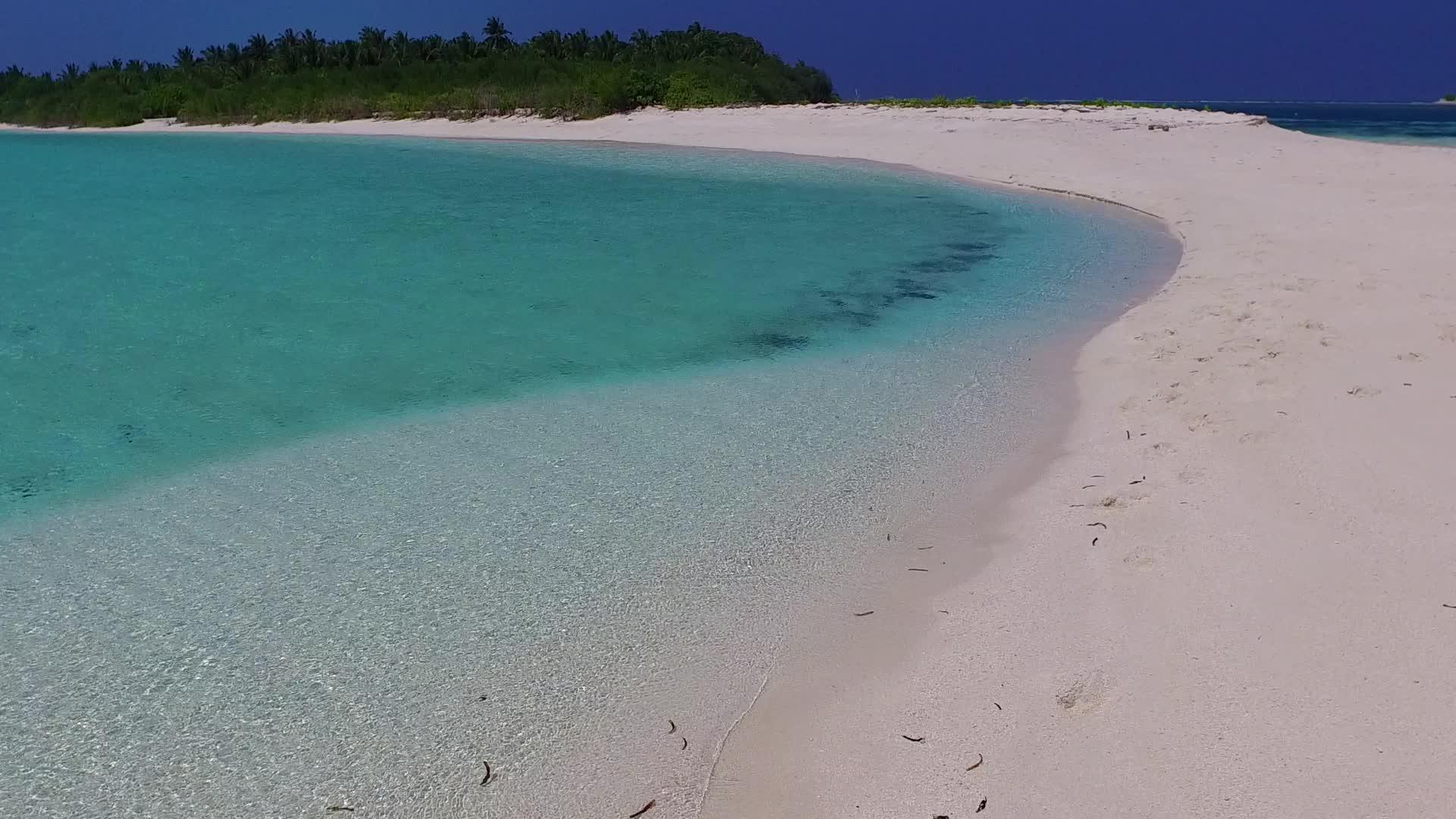 白沙利用蓝水和珊瑚礁附近的白色海滩背景成为岛屿海滩的野生海滩视频的预览图