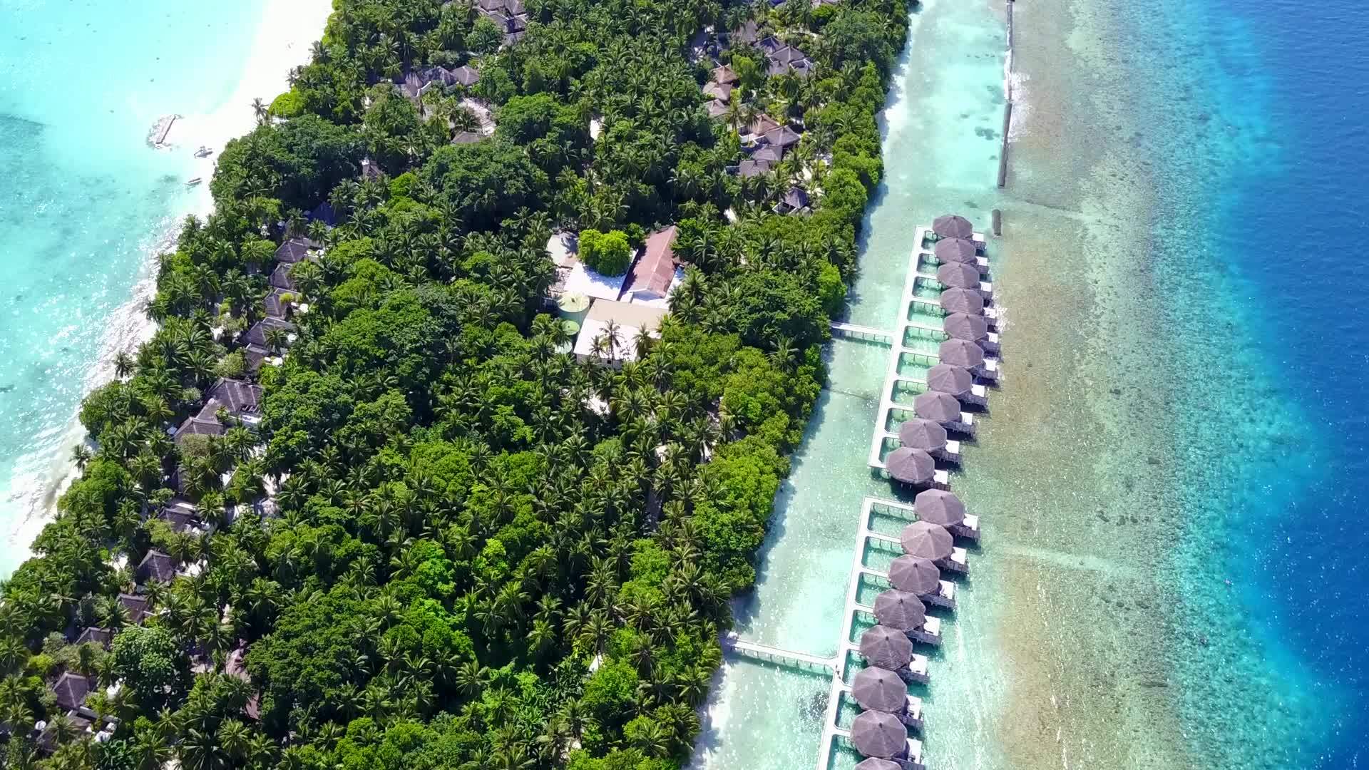 棕榈树附近有一个白色背景的海洋视频的预览图