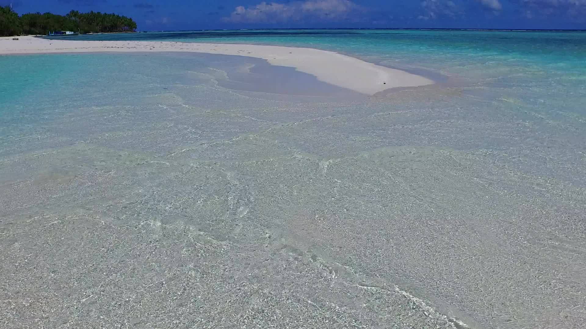 夏季旅行浅水和棕榈树附近的沙地背景视频的预览图