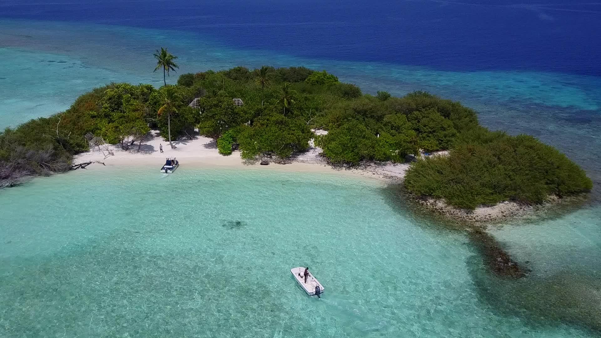 泻湖海滩野生动物的田园诗般的阳光旅行在沙洲附近有白色视频的预览图