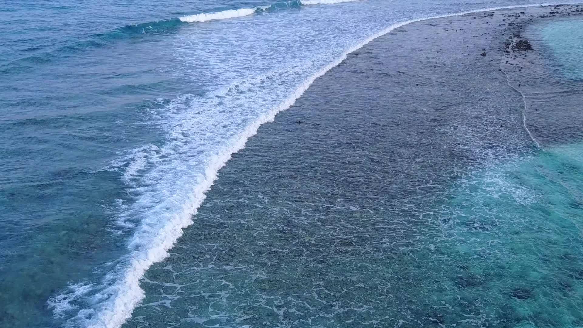 绿松石海洋岛海滩之旅视频的预览图