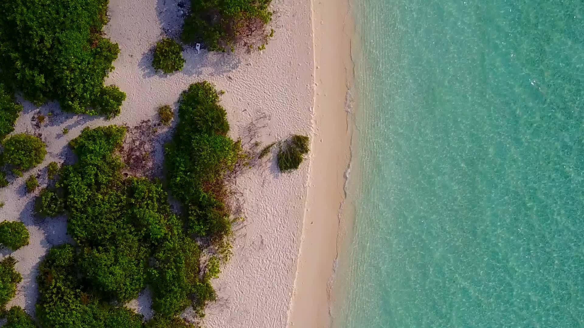美丽的海滩休闲旅行时间蓝色海洋和棕榈树附近有白色沙沙视频的预览图