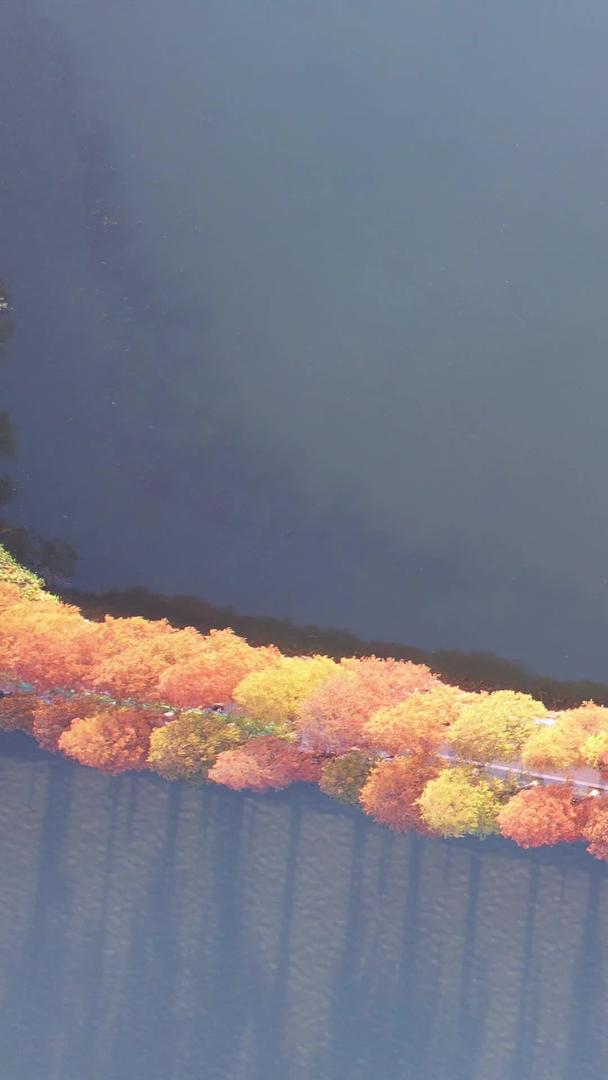 航拍城市自然风光秋天秋天公园绿道湖景素材视频的预览图