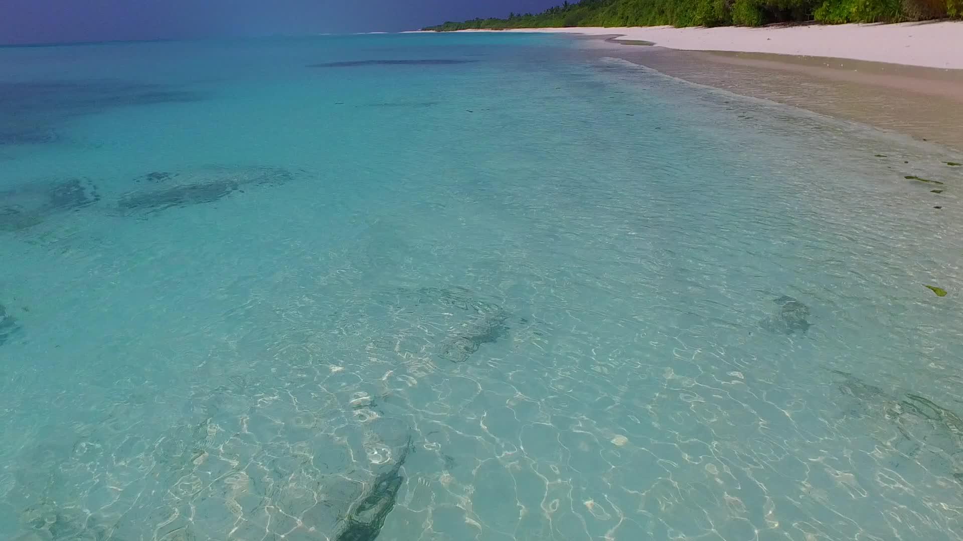 由于松绿海和沙滩附近的清洁沙土夏季风景豪华的海滨海滩视频的预览图