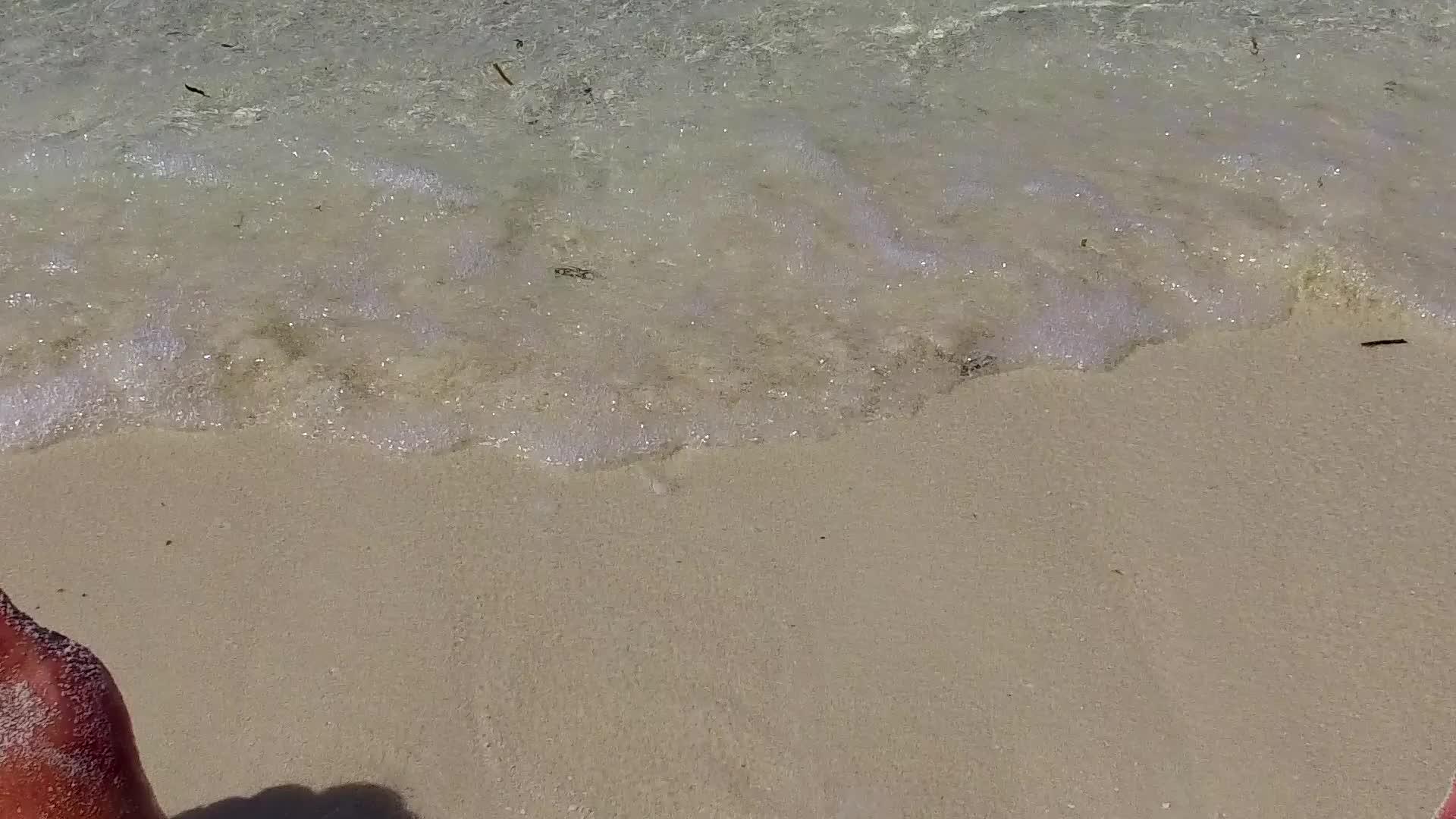 以浅海和白沙为背景的豪华海岸线海滩在度假胜地附近航行日间纹理视频的预览图