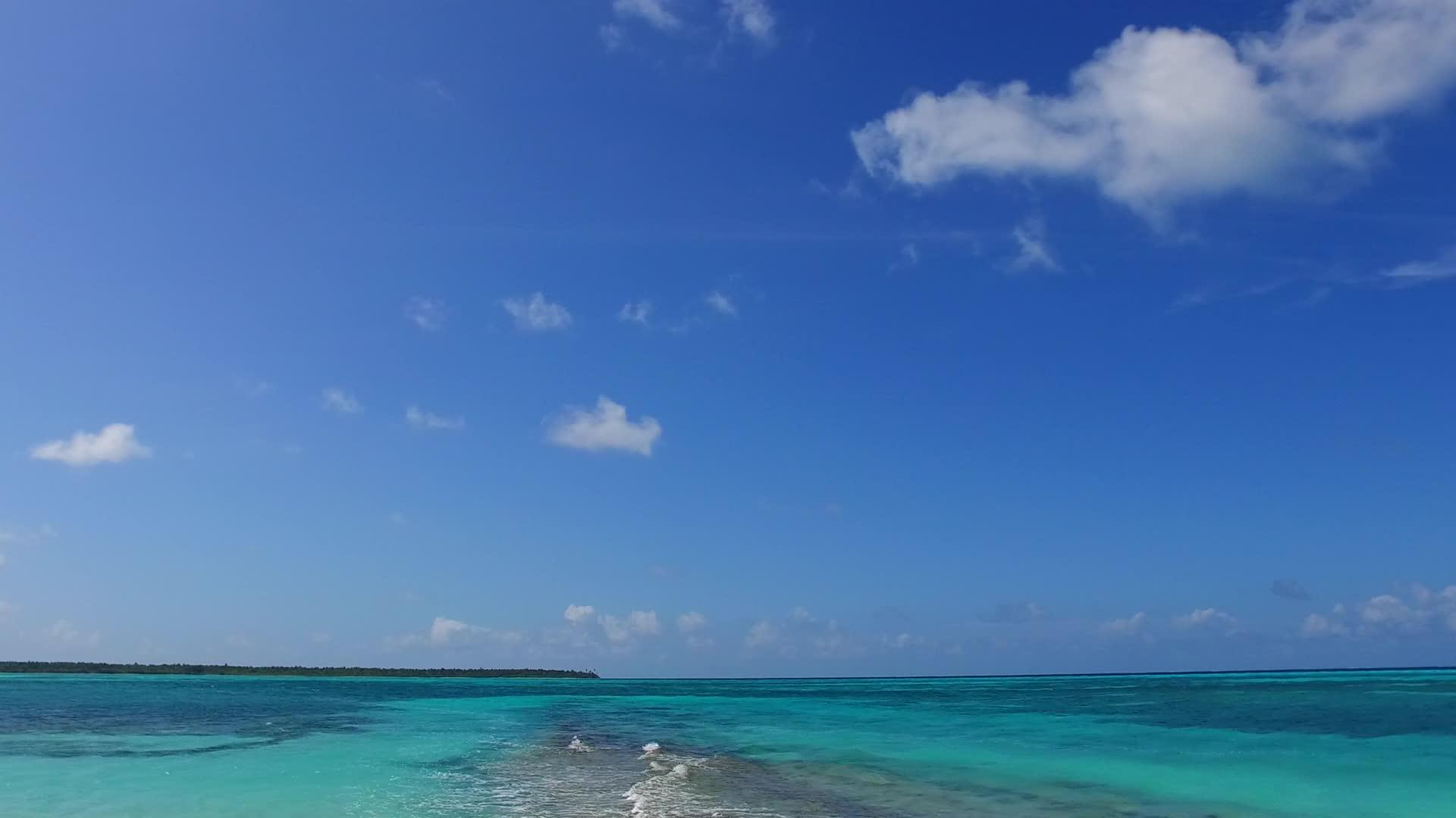 白沙蓝海附近的棕榈视频的预览图
