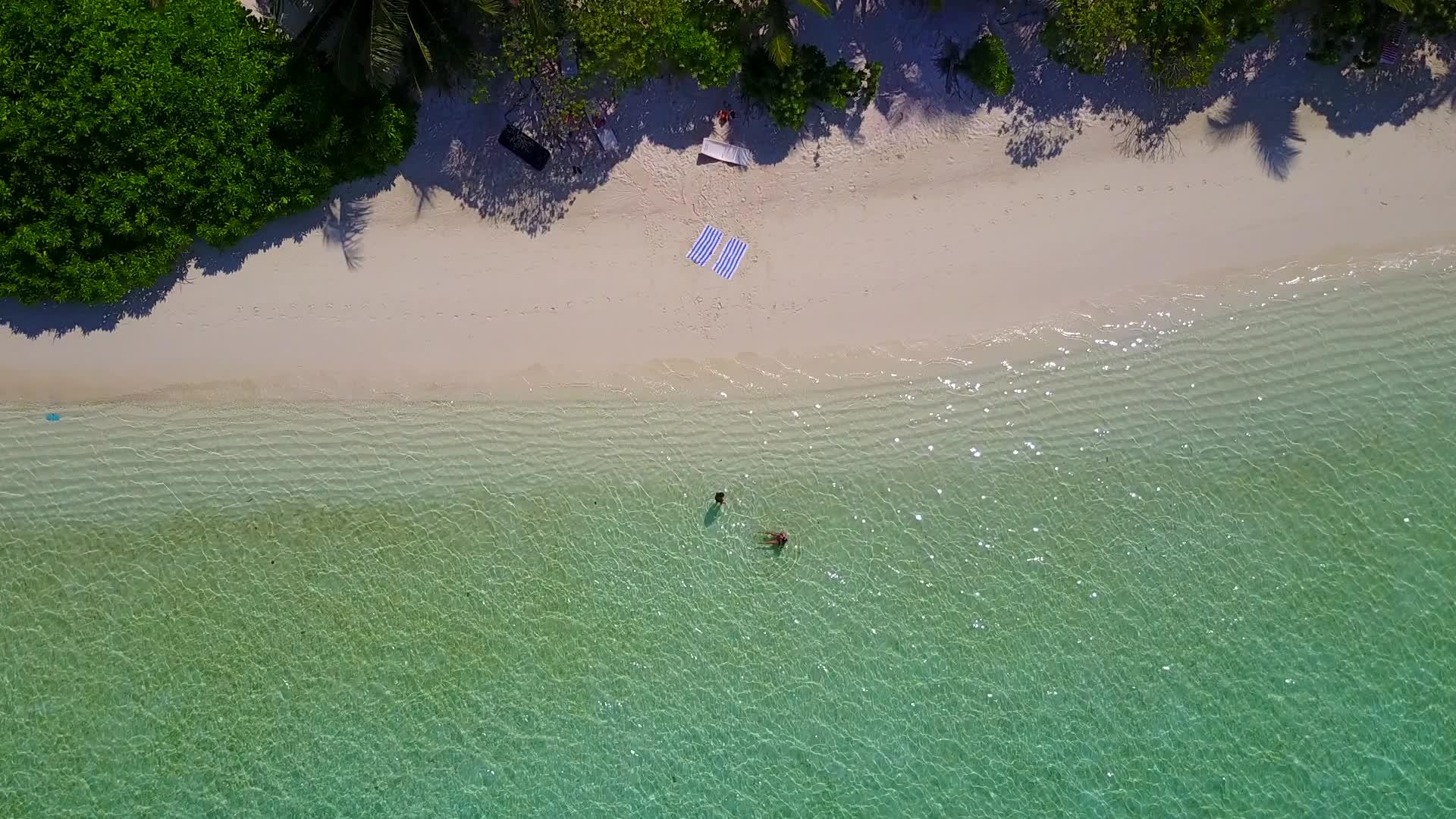 完美的岛屿海滩靠近度假胜地视频的预览图