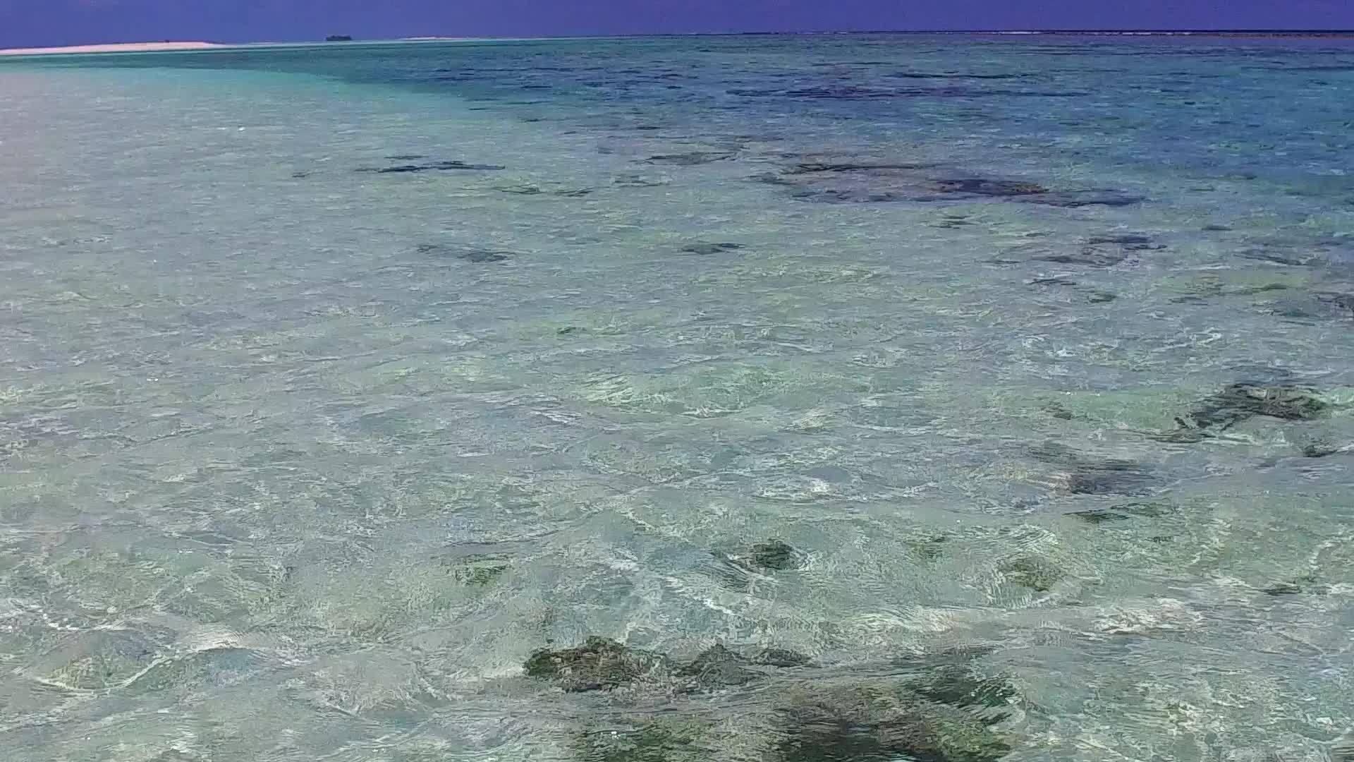 蓝绿色的海洋棕榈树附近有明亮的沙子背景靠近眼睛视频的预览图
