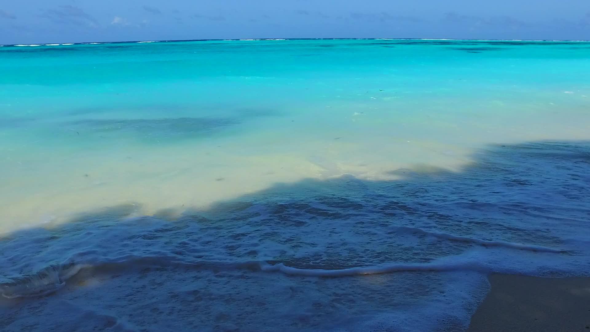 蓝海海洋岛海滩野生动物的阳光旅游视频的预览图