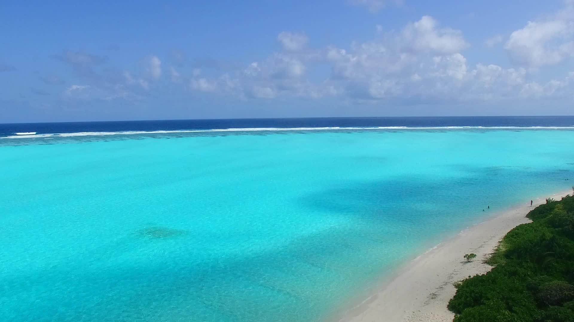 海洋环礁海滩野生动物的浪漫风景视频的预览图