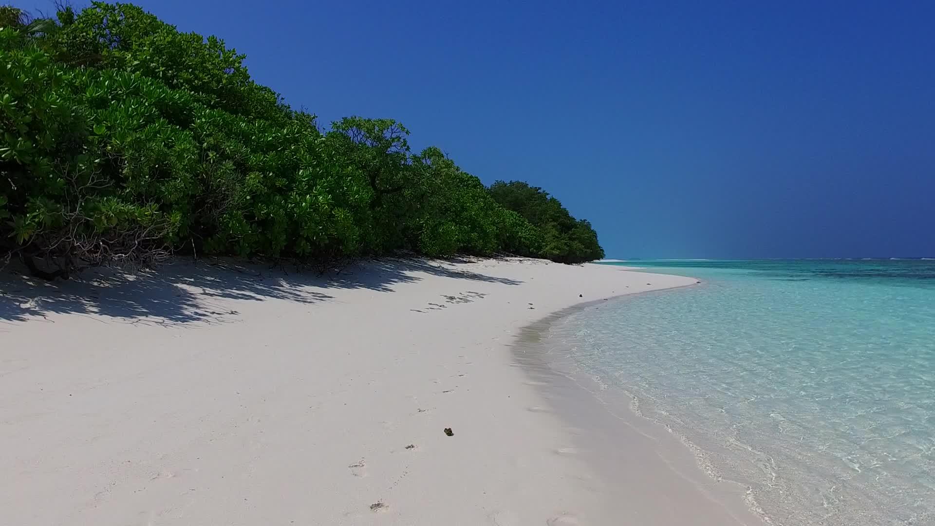 海平面上的豪华度假胜地在棕榈树附近有一个白色滩背景视频的预览图