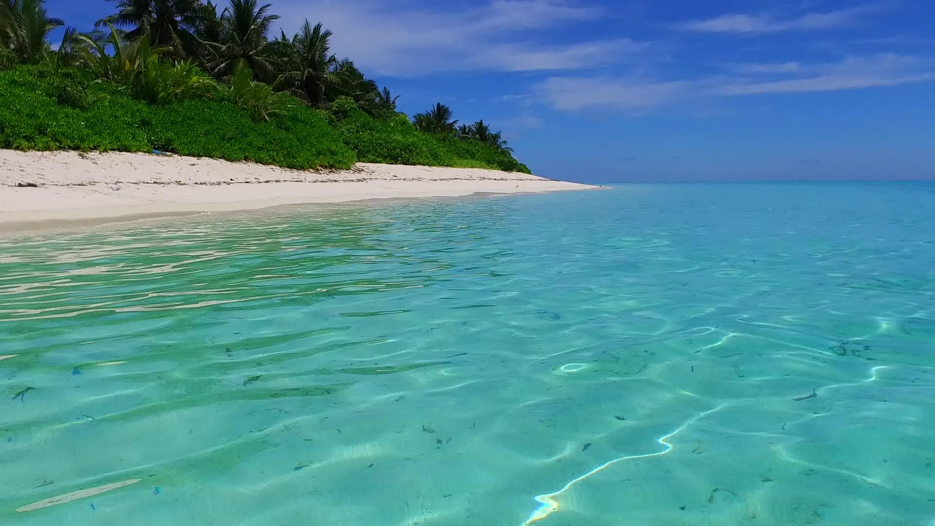 日落前白沙底蓝绿海完美海湾海滩之旅阳光明媚视频的预览图