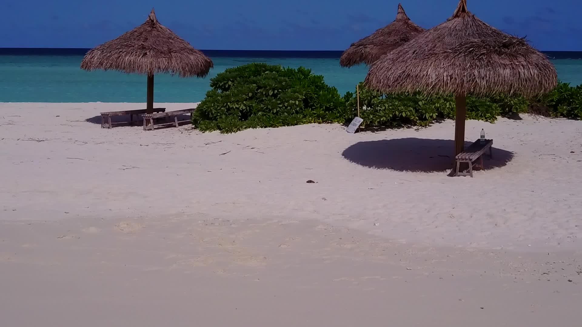以透明水和白色沙滩为背景参观珊瑚礁附近的冬季度假胜地视频的预览图