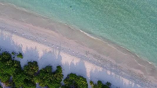 热带海景海滩野生动物以沙洲附近的蓝绿海和白沙为背景视频的预览图