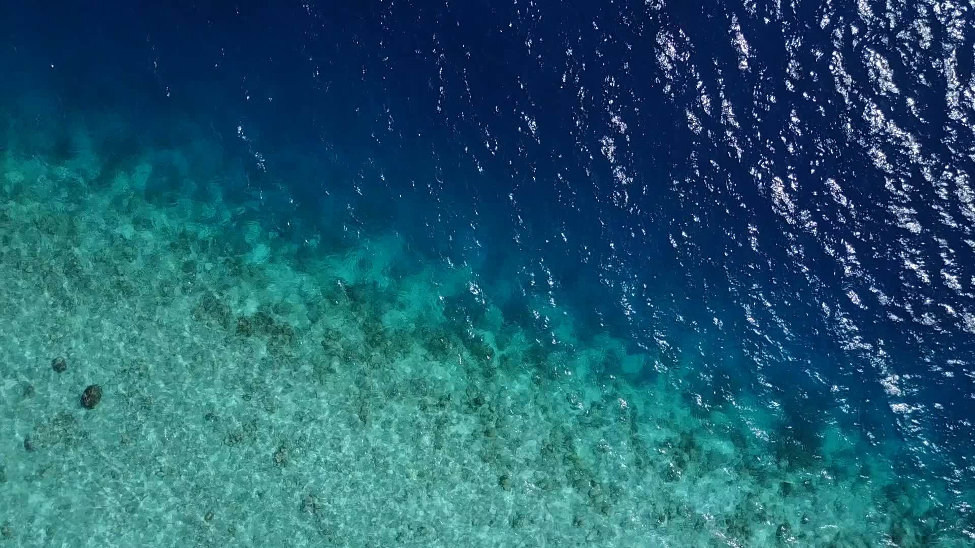 在浅海和棕榈树附近的白色沙滩背景下浪漫的海岸海滩之旅视频的预览图