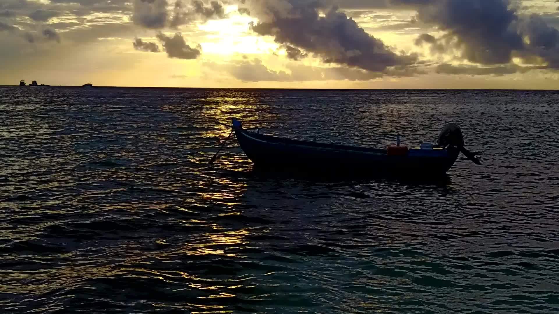 阳光明媚的天空充满了完美的旅游海滩野生生物视频的预览图