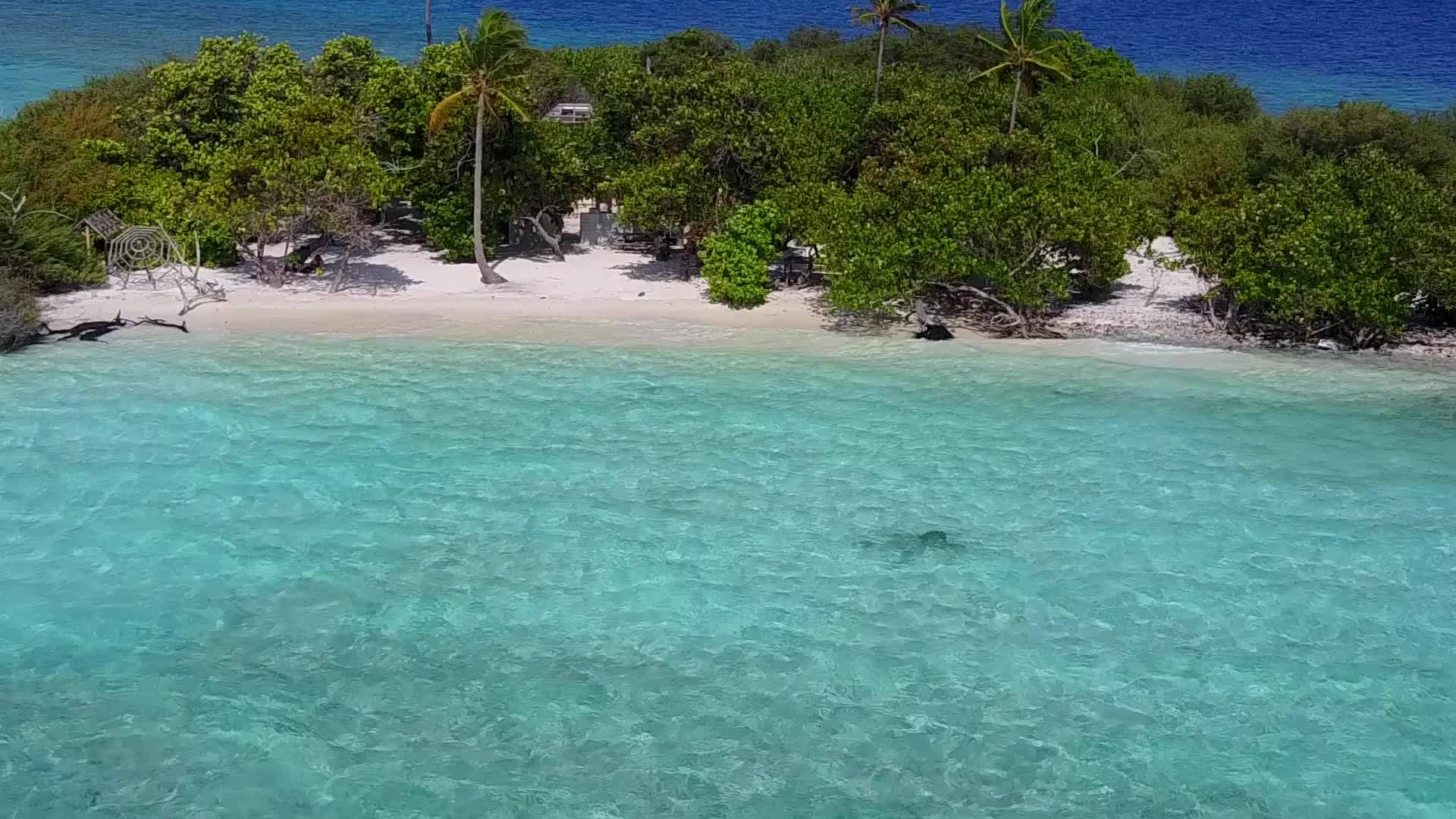 蓝色环礁湖和白色沙滩的海滩生活方式视频的预览图