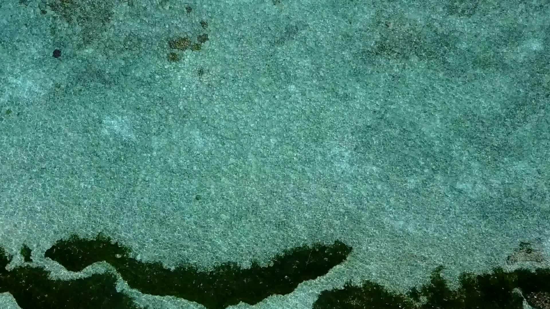 透明海滨热带度假胜地日落前有白色沙滩背景视频的预览图