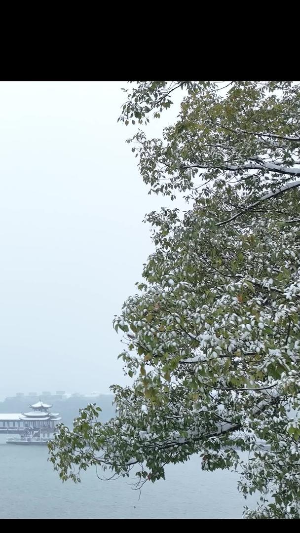 年嘉湖古桥雪景长沙烈士公园视频的预览图