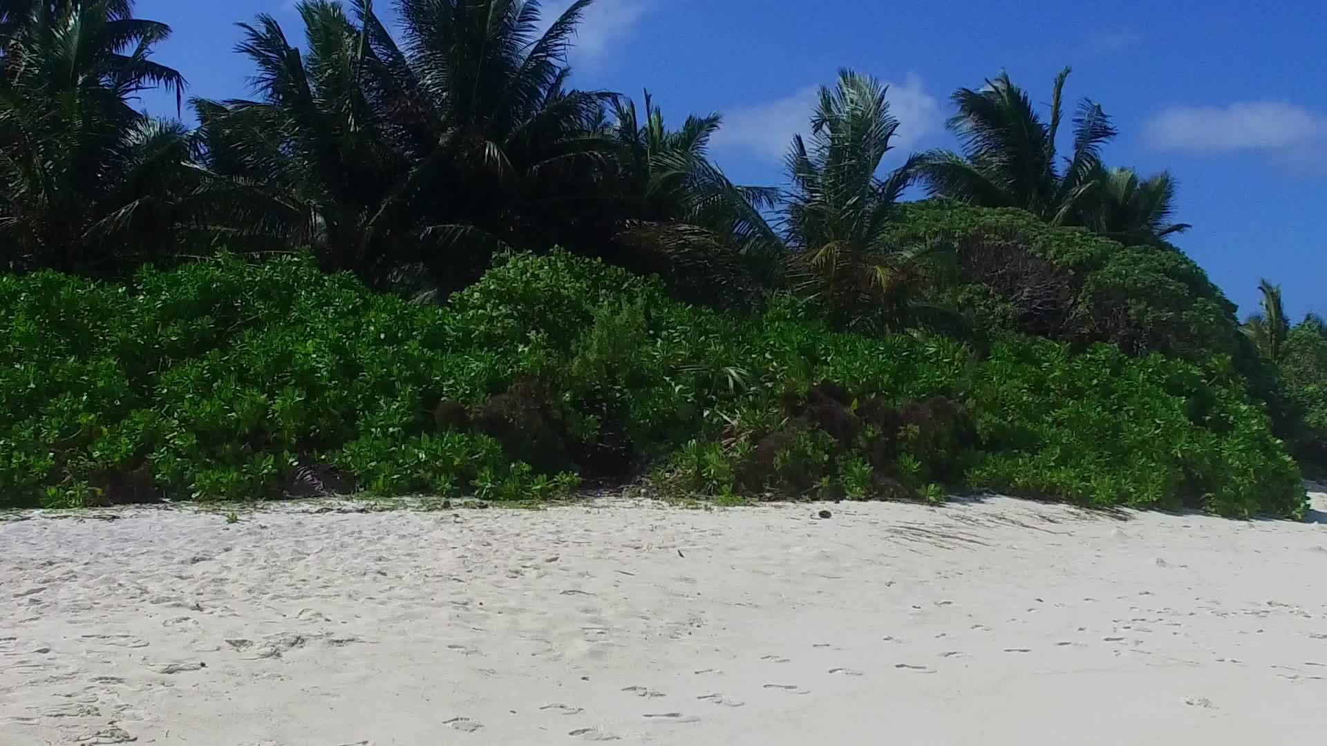 海底蓝海和珊瑚礁附近的白色沙滩度假空间视频的预览图