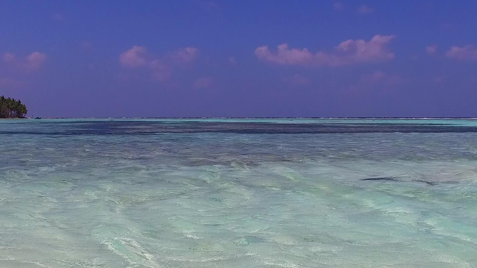 热带海岸热带海滩野生生物蓝海和阳光下的白色海滩视频的预览图