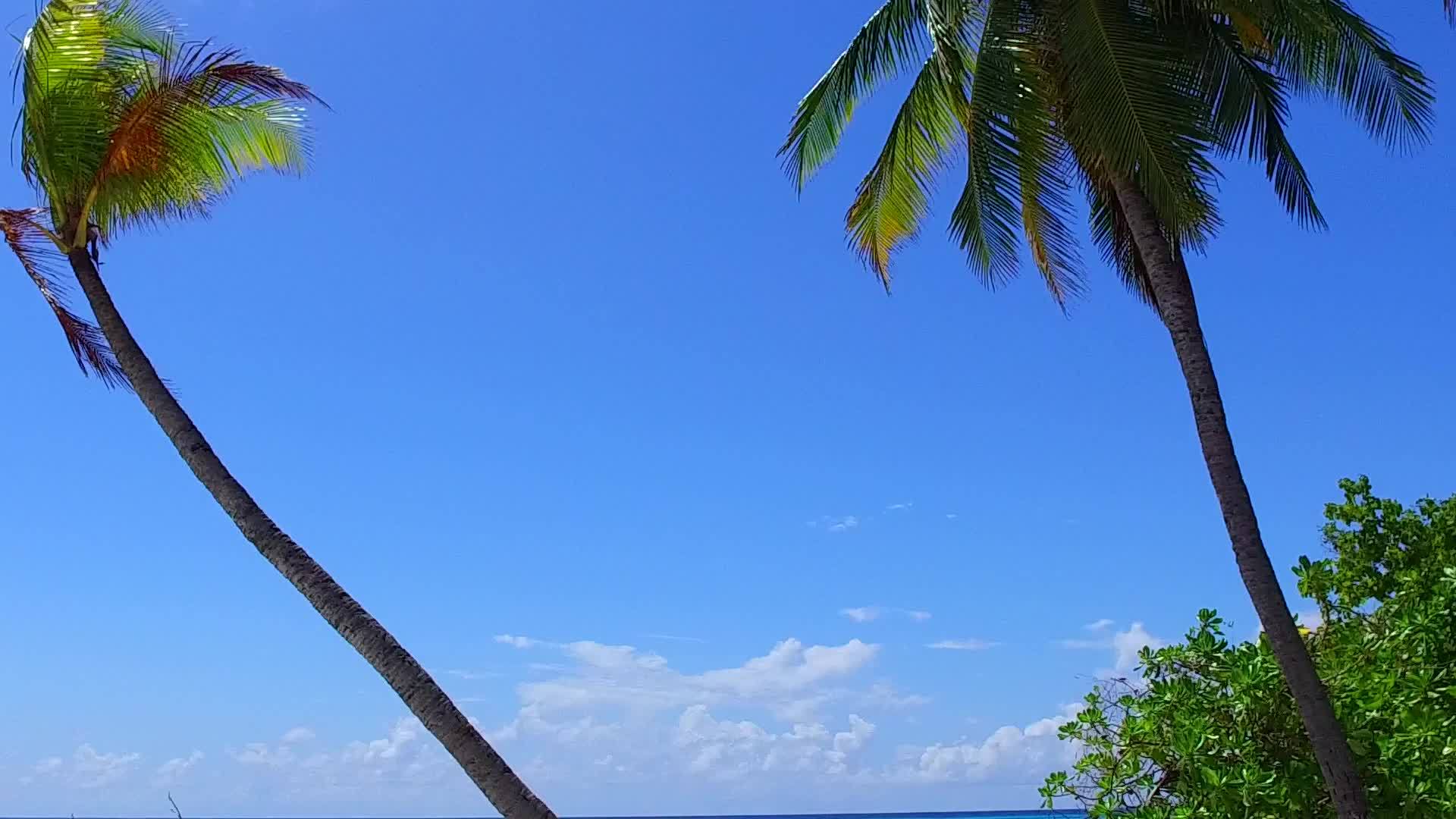 热带度假胜地海滩冲出了沙巴附近的浅水视频的预览图