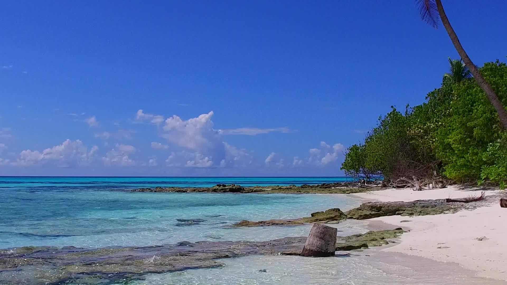 浅环礁湖和沙巴附近和白色沙滩背景下阳光明媚的奇异岛屿海滩视频的预览图