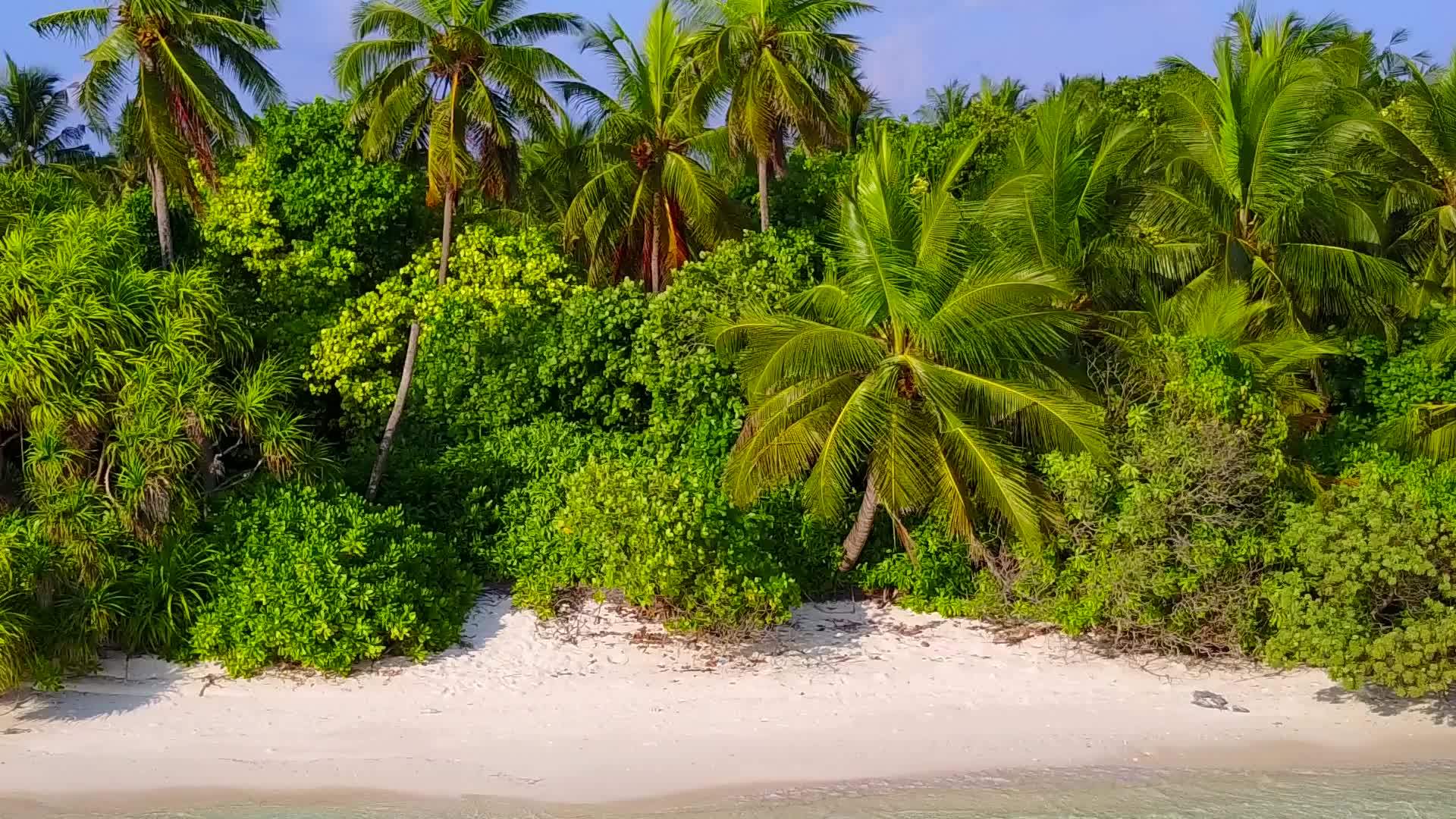 完美的海岸海滩度假浪漫的天空在棕榈树附近有一个白色的海滩背景视频的预览图