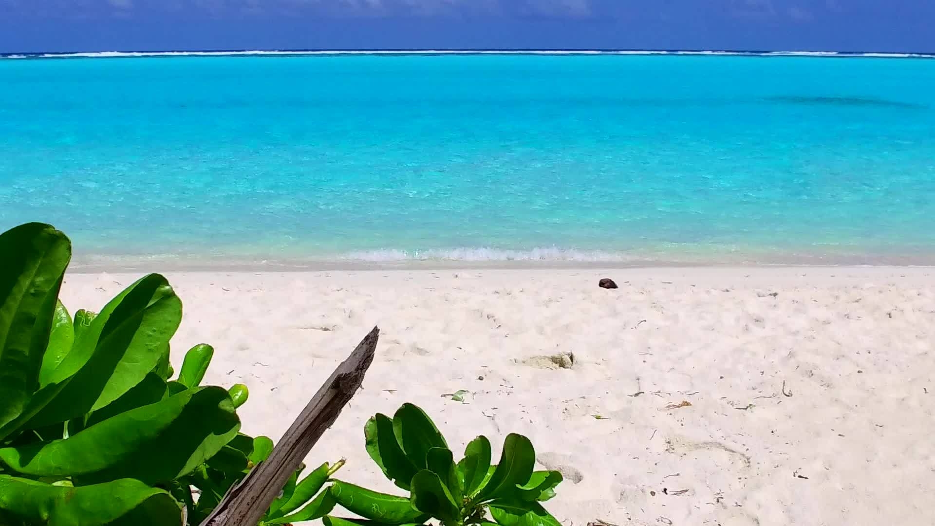 沿着蓝海航行的热带湾海滩空景观和阳光下清洁的沙地背景视频的预览图