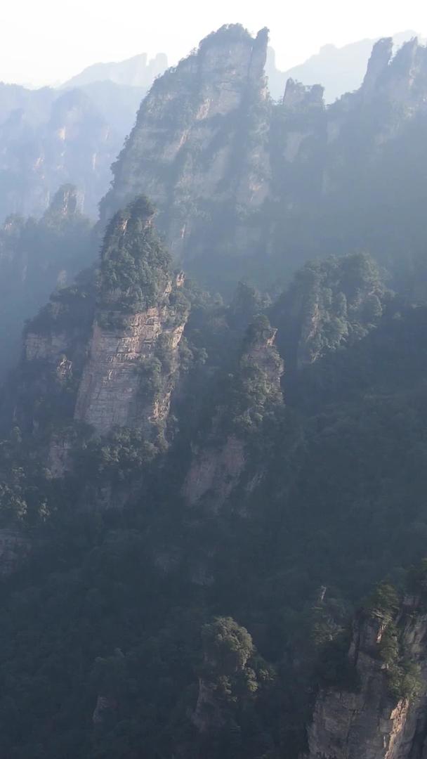 湖南张家界峡谷石峰航拍视频的预览图
