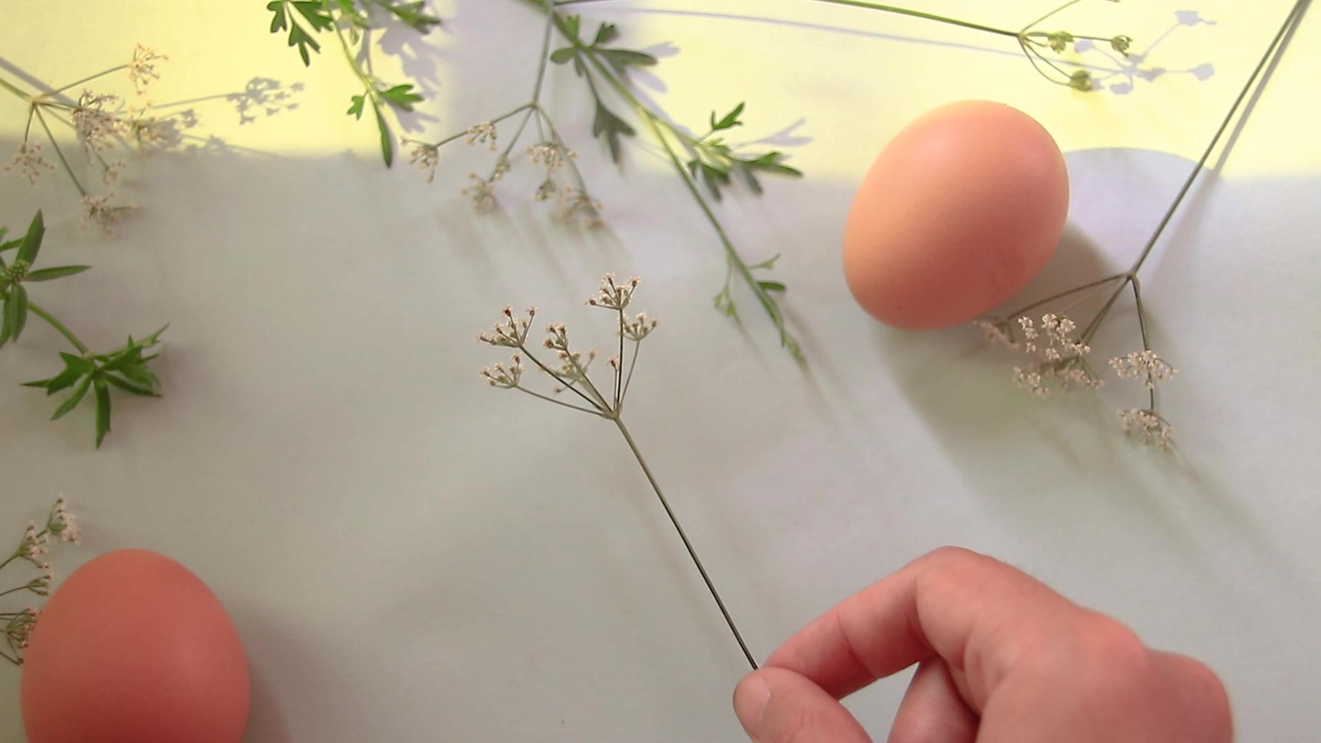 花和鸡蛋安排在复活节视频的预览图