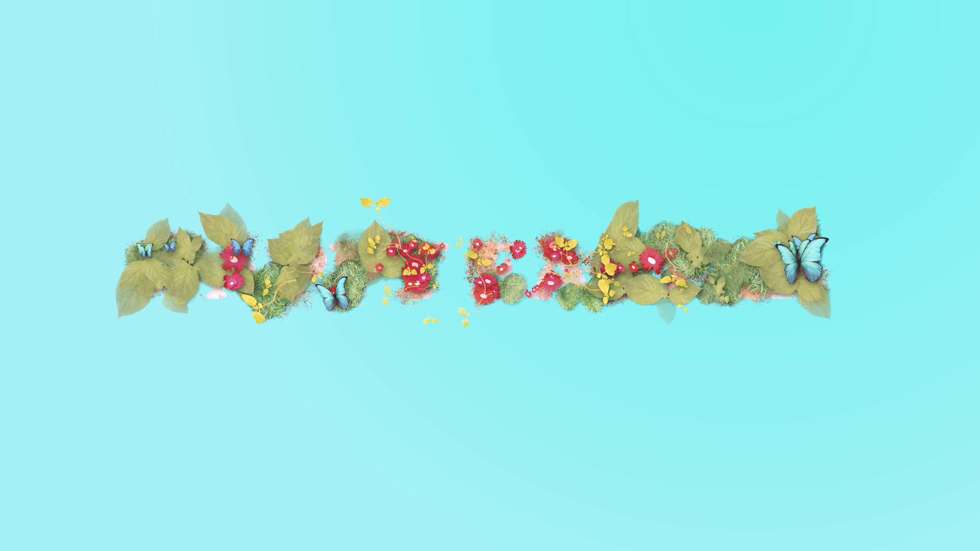 蝴蝶和绿叶创造并揭示了快乐的东方信息电子卡视频的预览图
