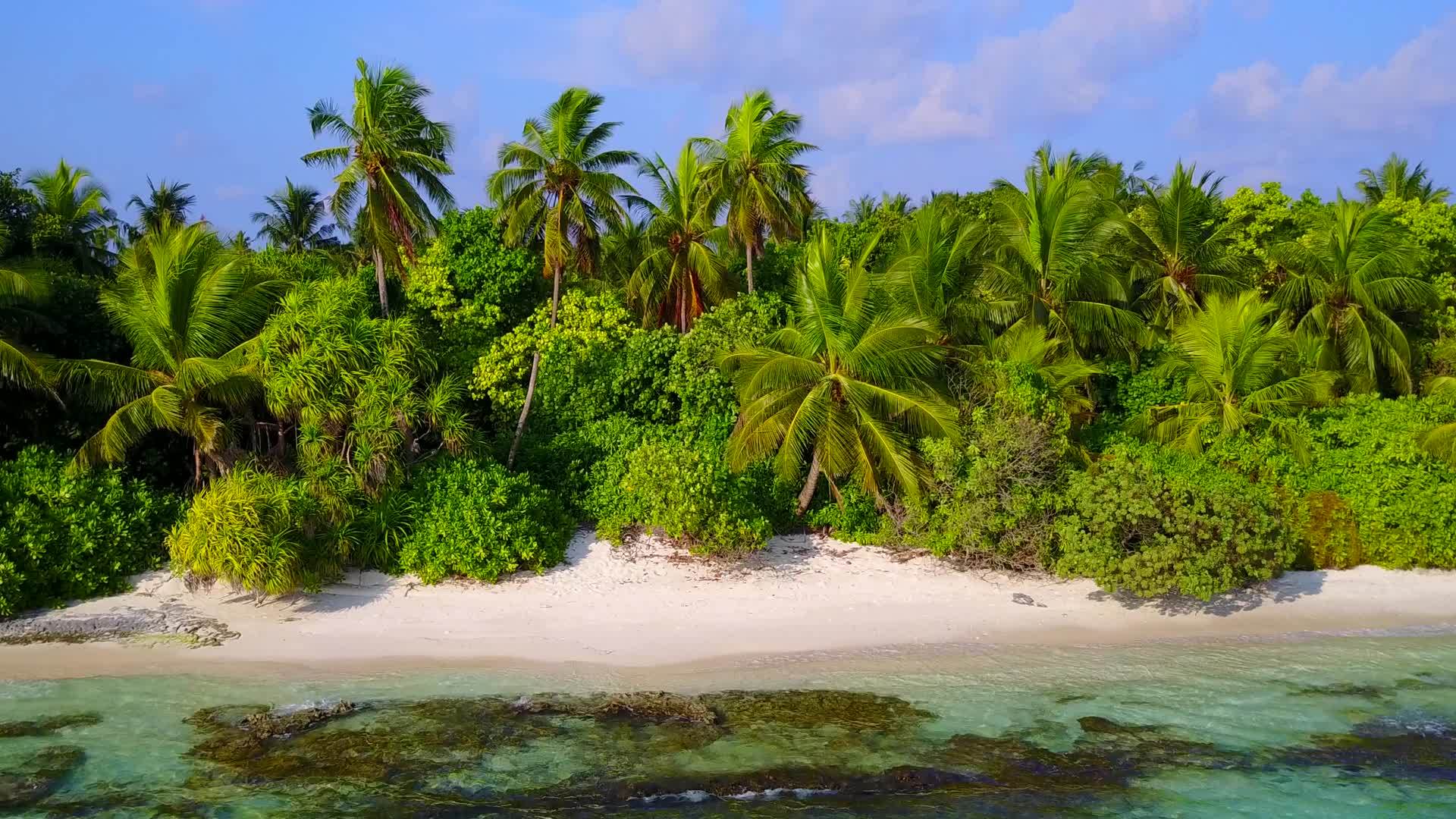 蓝海热带海岸海滩野生动物的温暖风景珊瑚礁附近有干净的珊瑚礁视频的预览图