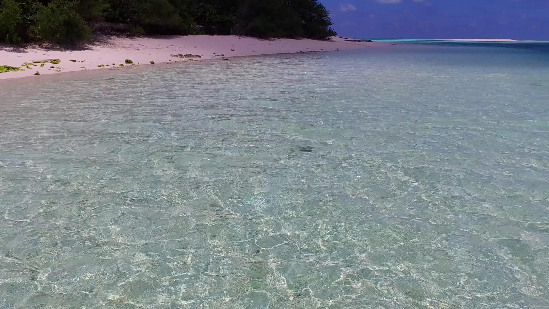 完美的海岸线海滩度假浪漫以蓝海和日落前的浅沙背景为例视频的预览图
