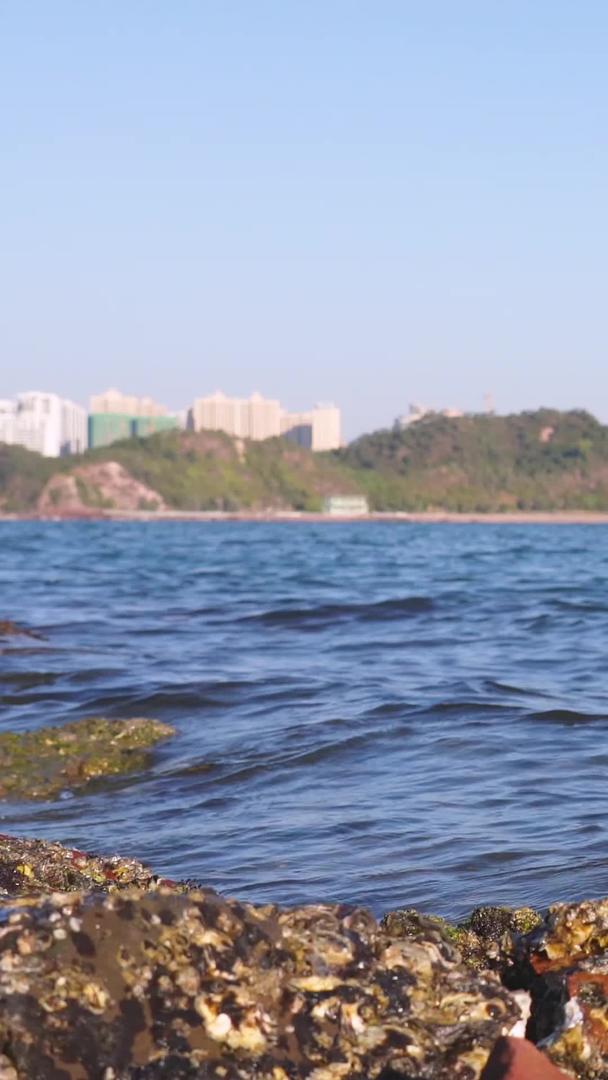 城市海边蓝海自然风光素材视频的预览图